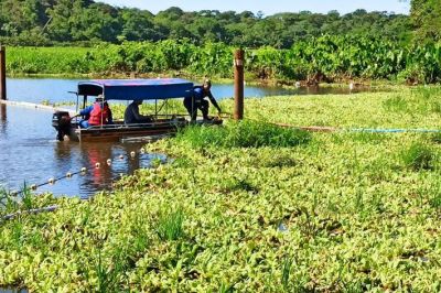 notícia: Limpeza do lago Bolonha entra na reta final