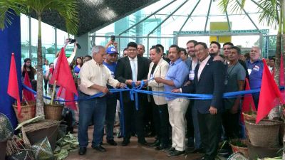 notícia: Com degustação e vários produtos, Festival Açaí Pará atrai consumidores e comerciantes ao Hangar 