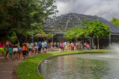 notícia: Mangal terá programação gratuita com ação ambiental e 'Halloween Amazônico' 