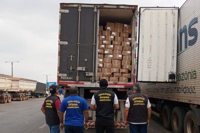 notícia: Fiscalização apreende 29 toneladas de peixes congelados em Dom Eliseu