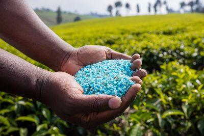 notícia: Fábrica do ramo de fertilizante será inaugurada no Pará, com apoio da Codec 