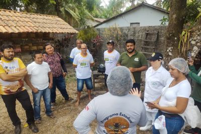 notícia: Adepará capacita servidores para prevenção e controle de doenças das abelhas