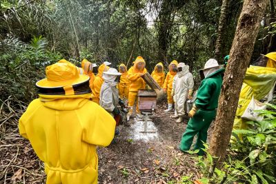 notícia: Sedap participa de Congressos Brasileiros de Apicultura e de Meliponicultura em Brasília