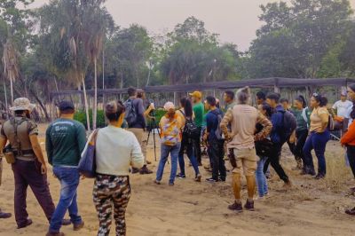 notícia: Parque Estadual de Monte Alegre recebe minicursos sobre aves e meliponicultura 