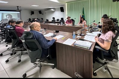 notícia: Câmara de Compensação Ambiental aprova destinação de recursos para ações estratégicas do Ideflor-Bio