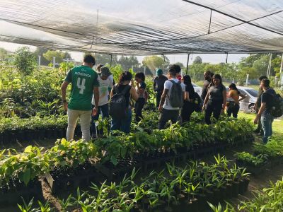 notícia: Alunos da UFRA visitam o Ideflor-Bio para conhecer detalhes sobre o Projeto PROSAF