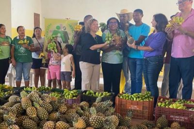notícia: Com apoio da Emater, produtos de reserva extrativista, em Baião, ajudam entidades