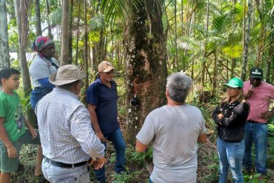 notícia: Missão interinstitucional orienta extrativistas de seringais nativos em Anajás, no Marajó