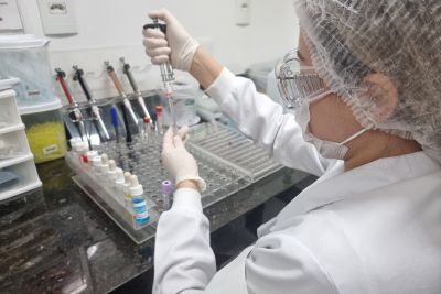notícia: HJB recebe certificado por promover doação de sangue que atendeu mais de 2 mil pacientes
