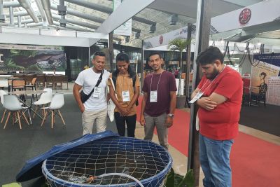 notícia: Considerado o “Gigante da Amazônia”, o pirarucu ganhou destaque em evento internacional de pesca e aquicultura