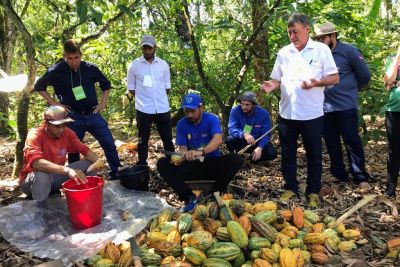 notícia: Estado avança na política de inclusão de produtores rurais por meio da implementação de agroindústrias artesanais
