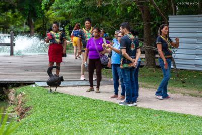 notícia: Visita monitorada oferece educação ambiental em experiência imersiva no Mangal das Garças