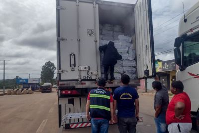 notícia: Sefa apreende 30 toneladas de açaí em Dom Eliseu