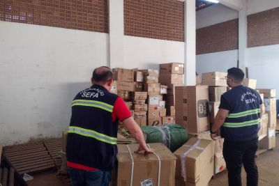 notícia: Sefa apreende 165 caixas de mercadorias diversas em Dom Eliseu