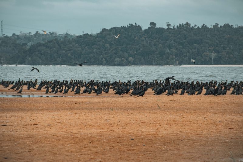 <div class='credito_fotos'>Foto: Victor Baia / Divulgação | <a href='/midias/2024/originais/18004_0f3e81f3-b388-b327-7122-607c635dc879.jpg' download><i class='fa-solid fa-download'></i> Download</a></div>