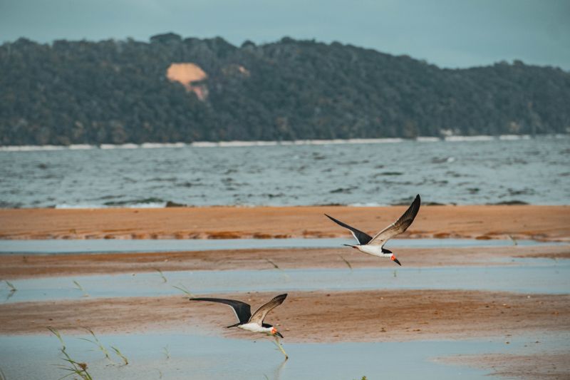 <div class='credito_fotos'>Foto: Victor Baia / Divulgação | <a href='/midias/2024/originais/18004_4a35ef10-188b-2dee-8eb4-d5aafafda279.jpg' download><i class='fa-solid fa-download'></i> Download</a></div>