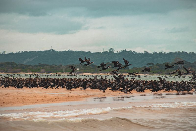 <div class='credito_fotos'>Foto: Victor Baia / Divulgação | <a href='/midias/2024/originais/18004_ee389db2-22c6-e8ca-2cb1-c54bf3c68107.jpg' download><i class='fa-solid fa-download'></i> Download</a></div>