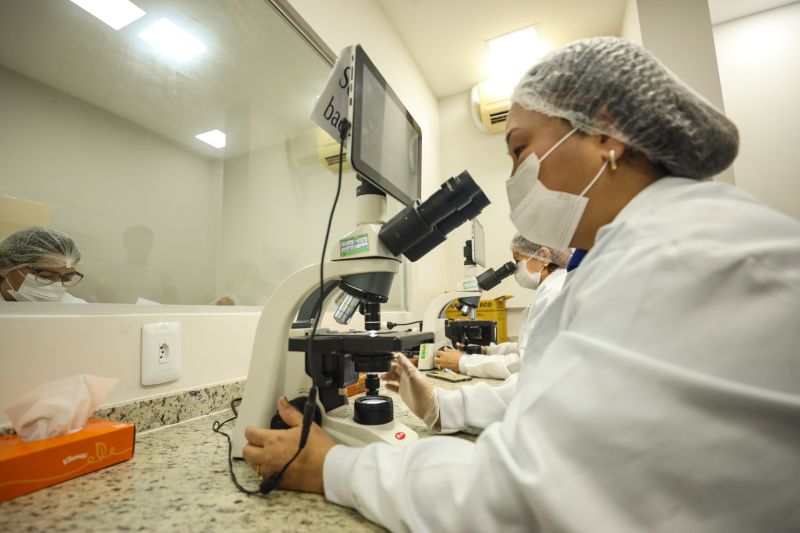 <div class='credito_fotos'>Foto: Bruno Cecim / Ag.Pará | <a href='/midias/2024/originais/18025_2fa6bd23-828a-a2c2-6dd4-2fe9458c62f5.jpg' download><i class='fa-solid fa-download'></i> Download</a></div>