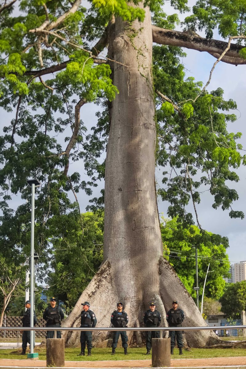 <div class='credito_fotos'>Foto: Bruno Cecim / Ag.Pará | <a href='/midias/2024/originais/18030_4f1147f6-d9a1-5753-8dd1-7ab087cc75ae.jpg' download><i class='fa-solid fa-download'></i> Download</a></div>