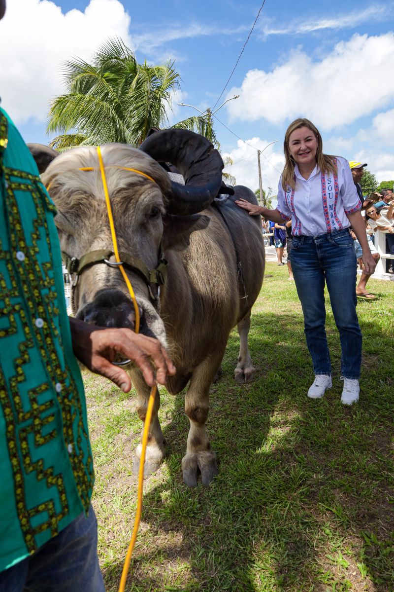 <div class='credito_fotos'>Foto: Pedro Guerreiro / Ag. Pará | <a href='/midias/2024/originais/18062_bee0f595-514a-b237-6b0c-cc065aa5fdc3.jpg' download><i class='fa-solid fa-download'></i> Download</a></div>