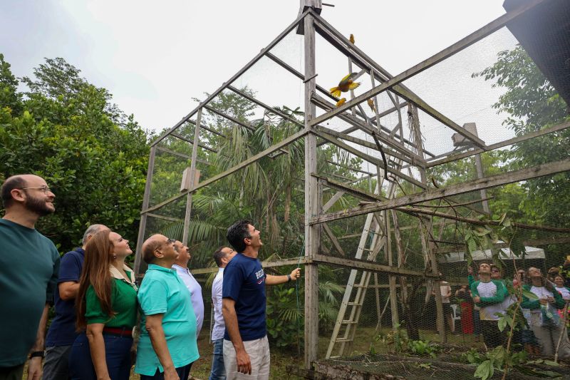 <div class='credito_fotos'>Foto: Rodrigo Pinheiro / Ag.Pará | <a href='/midias/2024/originais/18073_551f259e-2e1a-f43a-78a5-25f6b8fbee60.jpg' download><i class='fa-solid fa-download'></i> Download</a></div>