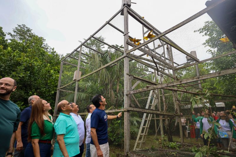 <div class='credito_fotos'>Foto: Rodrigo Pinheiro / Ag.Pará | <a href='/midias/2024/originais/18073_553633c6-82aa-a20a-e3cc-f508caa2d524.jpg' download><i class='fa-solid fa-download'></i> Download</a></div>