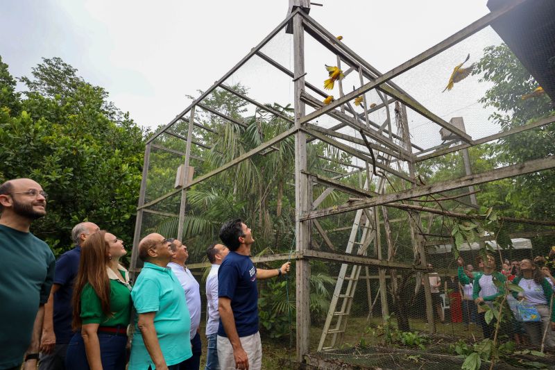 <div class='credito_fotos'>Foto: Rodrigo Pinheiro / Ag.Pará | <a href='/midias/2024/originais/18073_60ce3db7-4062-8589-bfcc-756643b2f23a.jpg' download><i class='fa-solid fa-download'></i> Download</a></div>