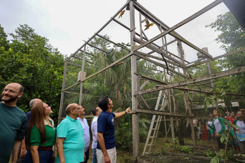 <div class='credito_fotos'>Foto: Rodrigo Pinheiro / Ag.Pará | <a href='/midias/2024/originais/18073_68985397-3184-d2bc-5e77-db3c8935e60f.jpg' download><i class='fa-solid fa-download'></i> Download</a></div>
