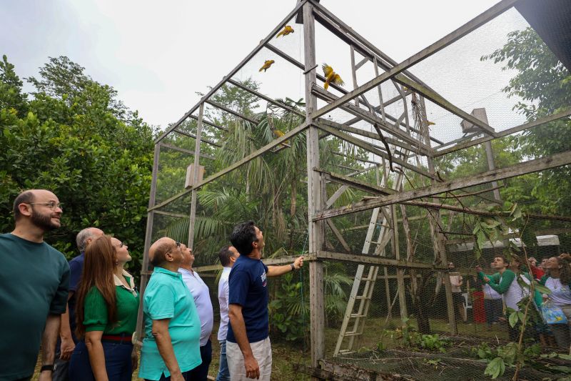 <div class='credito_fotos'>Foto: Rodrigo Pinheiro / Ag.Pará | <a href='/midias/2024/originais/18073_95b2f685-a9c4-4213-5ece-ad5898dbe914.jpg' download><i class='fa-solid fa-download'></i> Download</a></div>