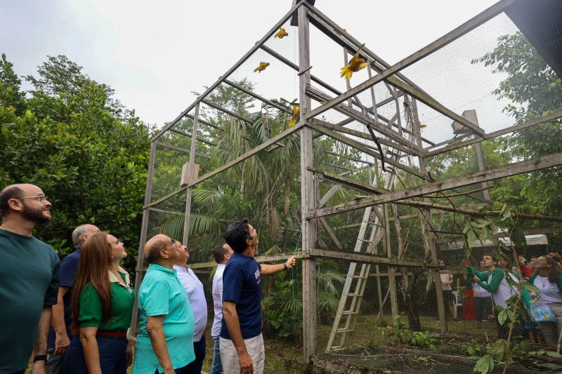 <div class='credito_fotos'>Foto: Rodrigo Pinheiro / Ag.Pará | <a href='/midias/2024/originais/18073_b9f7c6f2-b553-8946-32b0-337b70f9b405.jpg' download><i class='fa-solid fa-download'></i> Download</a></div>