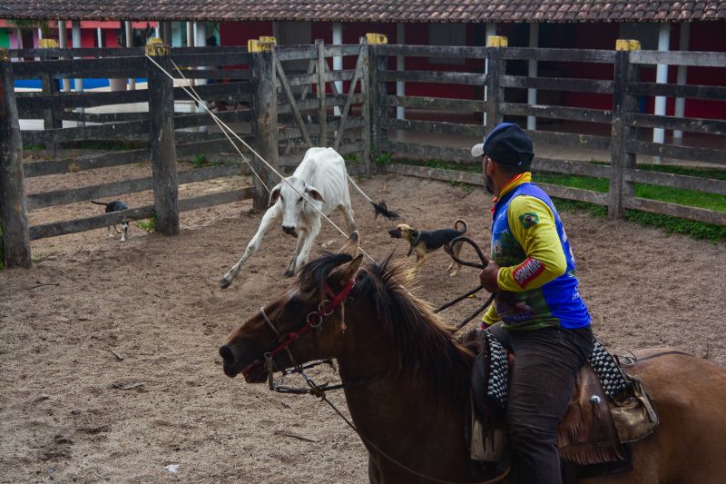 <div class='credito_fotos'>Foto: Divulgação / Agência Pará | <a href='/midias/2024/originais/18097_29aff99d-8cfa-6e09-da05-c9a882869577.jpg' download><i class='fa-solid fa-download'></i> Download</a></div>