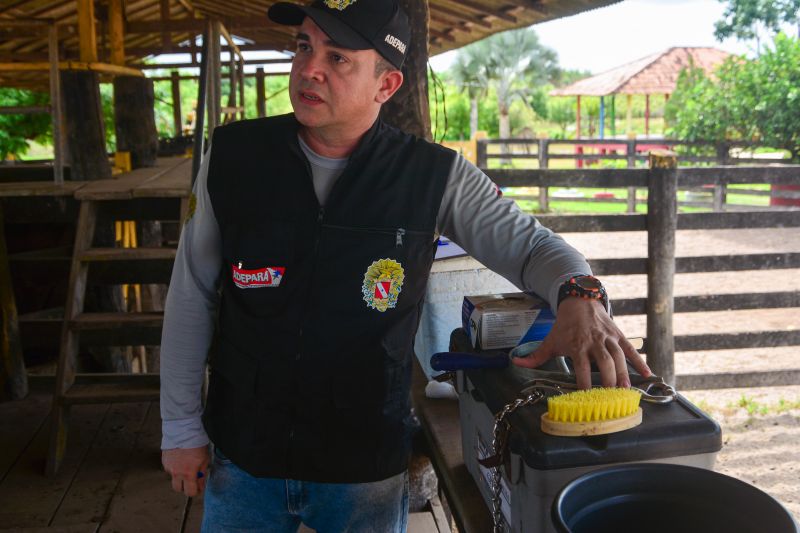 <div class='credito_fotos'>Foto: Divulgação / Agência Pará | <a href='/midias/2024/originais/18097_6656ba2c-21ed-adc4-5709-f258c515036e.jpg' download><i class='fa-solid fa-download'></i> Download</a></div>