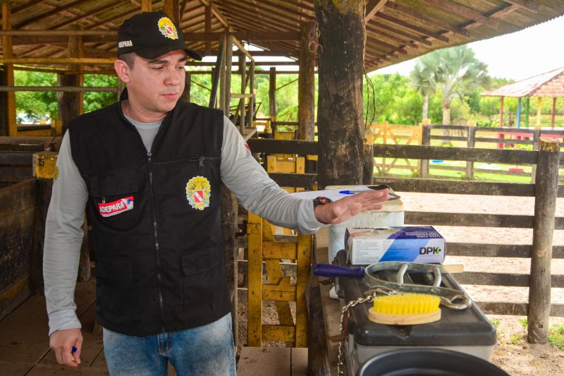 <div class='credito_fotos'>Foto: Divulgação / Agência Pará | <a href='/midias/2024/originais/18097_8d5d6006-546d-ed75-6a8c-7710040fdb73.jpg' download><i class='fa-solid fa-download'></i> Download</a></div>
