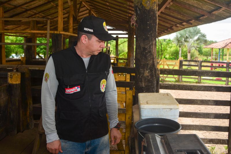 <div class='credito_fotos'>Foto: Divulgação / Agência Pará | <a href='/midias/2024/originais/18097_df7b56c3-834b-6395-d71c-dd99704a0a97.jpg' download><i class='fa-solid fa-download'></i> Download</a></div>