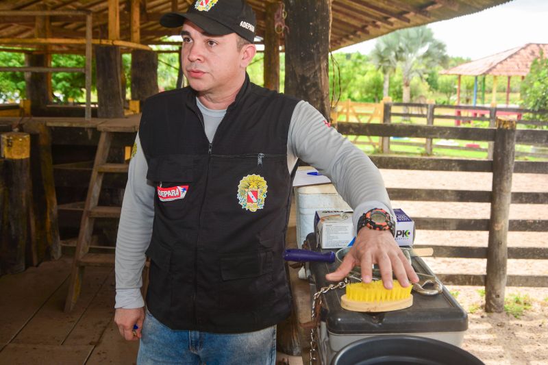<div class='credito_fotos'>Foto: Divulgação / Agência Pará | <a href='/midias/2024/originais/18097_ed4c0e0d-a421-5d6c-dcdd-9351025fe313.jpg' download><i class='fa-solid fa-download'></i> Download</a></div>