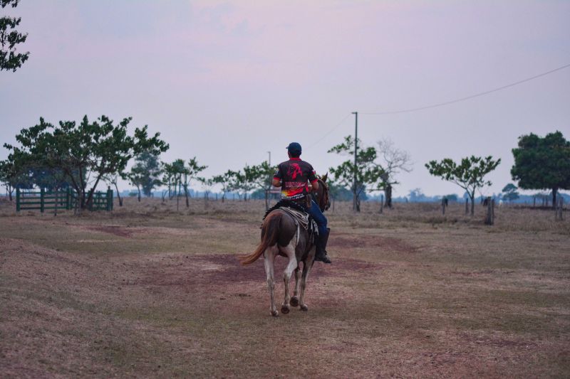 <div class='credito_fotos'>Foto: Divulgação / Agência Pará | <a href='/midias/2024/originais/18098_c865de4e-2d80-2472-1853-1df63d987dea.jpg' download><i class='fa-solid fa-download'></i> Download</a></div>