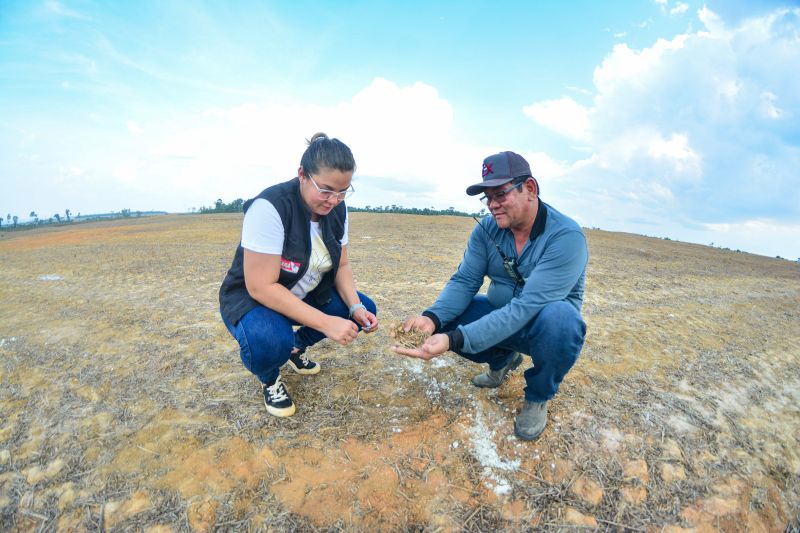 <div class='credito_fotos'>Foto: Divulgação / Agência Pará | <a href='/midias/2024/originais/18099_0f6f0505-b03a-fb7a-ff87-4ea45ce804ea.jpg' download><i class='fa-solid fa-download'></i> Download</a></div>