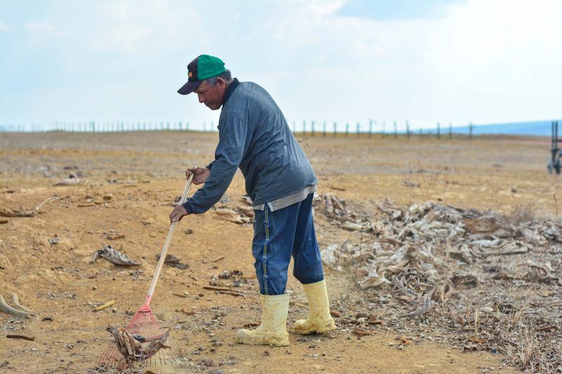 <div class='credito_fotos'>Foto: Divulgação / Agência Pará | <a href='/midias/2024/originais/18099_34ba3999-7f9b-aa8a-2792-be3f24e2c186.jpg' download><i class='fa-solid fa-download'></i> Download</a></div>