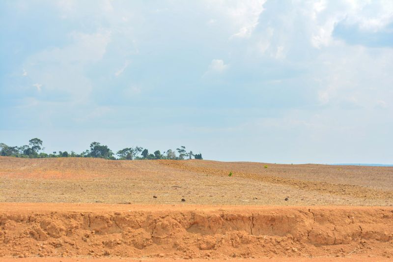<div class='credito_fotos'>Foto: Divulgação / Agência Pará | <a href='/midias/2024/originais/18099_622355f8-6aff-8717-3867-de9efc63fde0.jpg' download><i class='fa-solid fa-download'></i> Download</a></div>