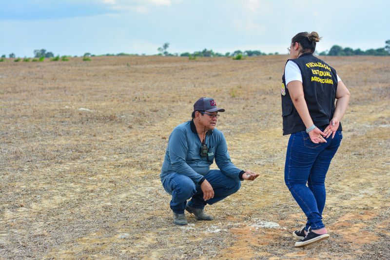 <div class='credito_fotos'>Foto: Divulgação / Agência Pará | <a href='/midias/2024/originais/18099_6302c3ae-7458-c68f-a6e2-7d9e01d9c81e.jpg' download><i class='fa-solid fa-download'></i> Download</a></div>