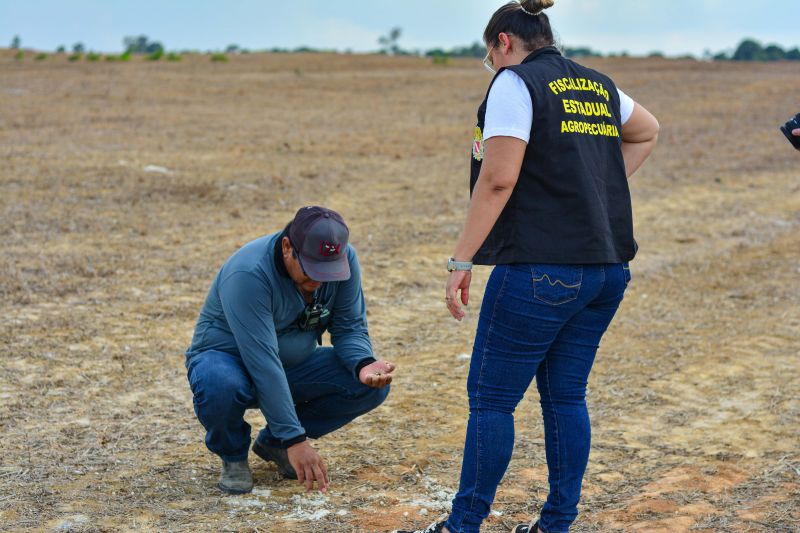 <div class='credito_fotos'>Foto: Divulgação / Agência Pará | <a href='/midias/2024/originais/18099_d014effd-3f0a-daa3-700a-8af04d95c67b.jpg' download><i class='fa-solid fa-download'></i> Download</a></div>