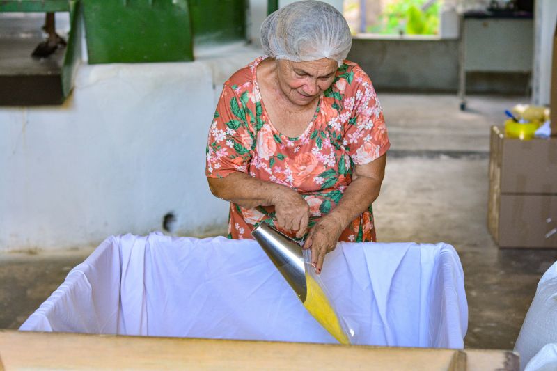 <div class='credito_fotos'>Foto: Divulgação / Agência Pará | <a href='/midias/2024/originais/18101_2d2b3c54-4ed9-7603-c343-1668b6fc5e51.jpg' download><i class='fa-solid fa-download'></i> Download</a></div>