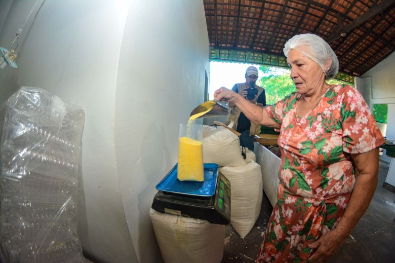 <div class='credito_fotos'>Foto: Divulgação / Agência Pará | <a href='/midias/2024/originais/18101_388b318f-2196-9df4-a02a-0bb7b4a898df.jpg' download><i class='fa-solid fa-download'></i> Download</a></div>