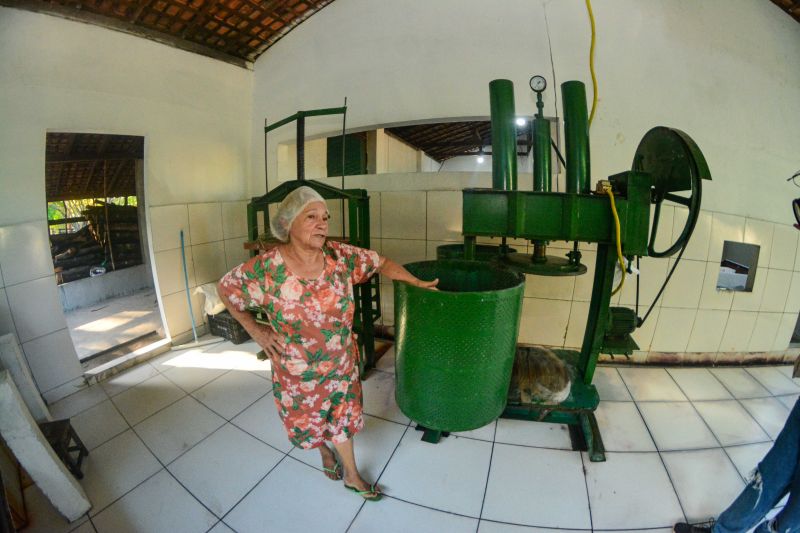 <div class='credito_fotos'>Foto: Divulgação / Agência Pará | <a href='/midias/2024/originais/18101_5c16345d-6c70-69b2-99c5-5f9699e331ee.jpg' download><i class='fa-solid fa-download'></i> Download</a></div>