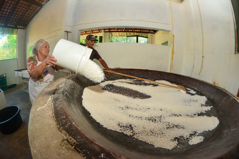 <div class='credito_fotos'>Foto: Divulgação / Agência Pará | <a href='/midias/2024/originais/18101_6e687bdd-d3db-d3bc-b3de-d9a4d6eb37fd.jpg' download><i class='fa-solid fa-download'></i> Download</a></div>