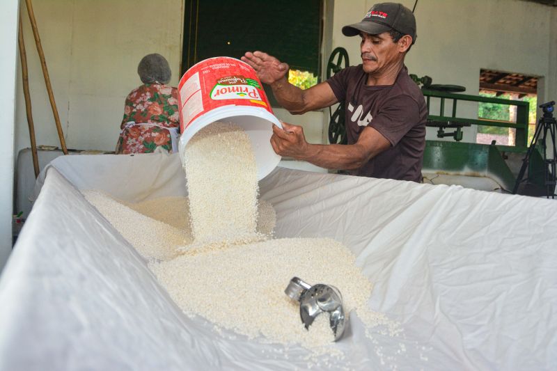 <div class='credito_fotos'>Foto: Divulgação / Agência Pará | <a href='/midias/2024/originais/18101_7d1ff732-c2da-110f-e81f-f45776af16c6.jpg' download><i class='fa-solid fa-download'></i> Download</a></div>