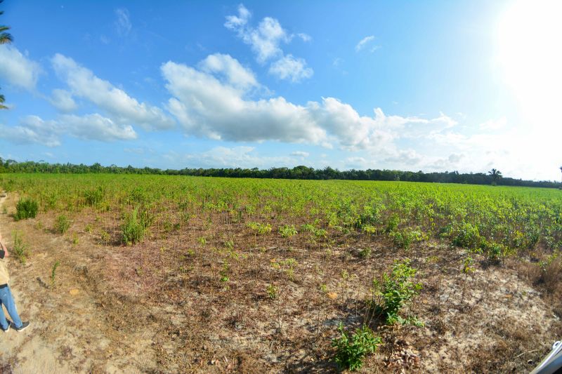 <div class='credito_fotos'>Foto: Divulgação / Agência Pará | <a href='/midias/2024/originais/18101_87c9907a-7318-24d8-2632-7f7605c2cf4f.jpg' download><i class='fa-solid fa-download'></i> Download</a></div>