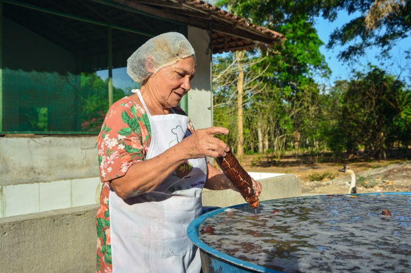<div class='credito_fotos'>Foto: Divulgação / Agência Pará | <a href='/midias/2024/originais/18101_9c6cd718-7221-bf52-d1ca-a53eaf8904d9.jpg' download><i class='fa-solid fa-download'></i> Download</a></div>