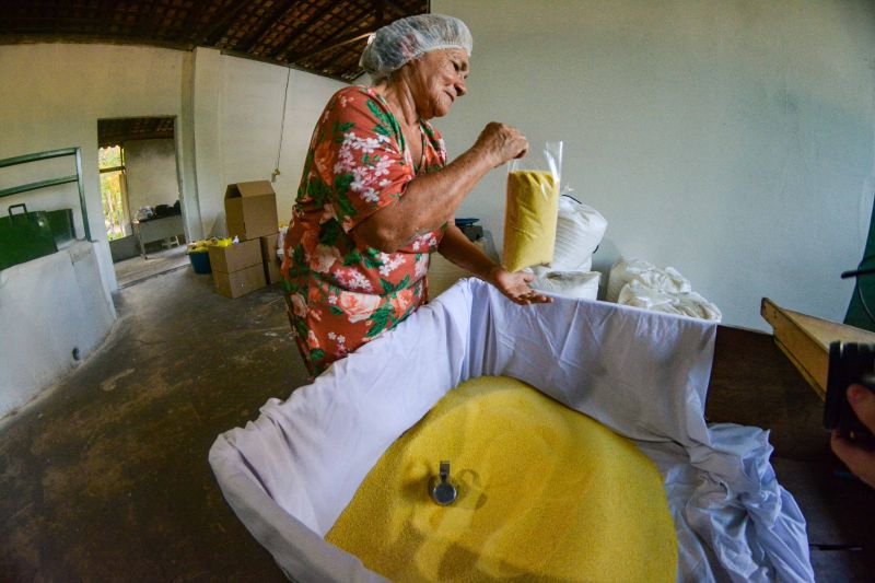 <div class='credito_fotos'>Foto: Divulgação / Agência Pará | <a href='/midias/2024/originais/18101_9d466648-a7e3-864f-968f-e1f0f639d962.jpg' download><i class='fa-solid fa-download'></i> Download</a></div>