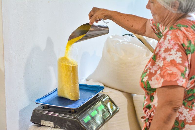 <div class='credito_fotos'>Foto: Divulgação / Agência Pará | <a href='/midias/2024/originais/18101_b1f3dada-f875-c7f6-d7f0-c46a46b899ec.jpg' download><i class='fa-solid fa-download'></i> Download</a></div>